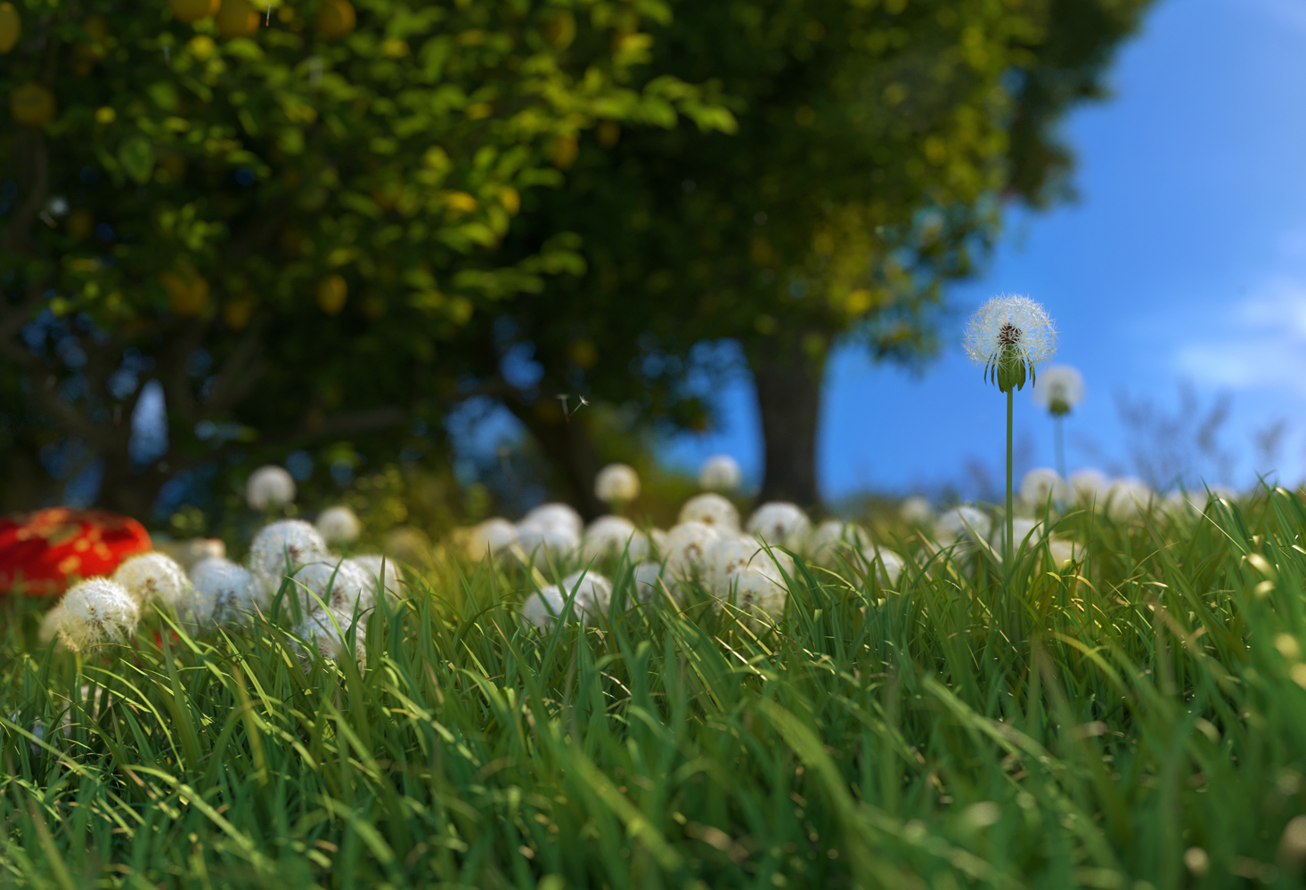 CGI Island Landscape