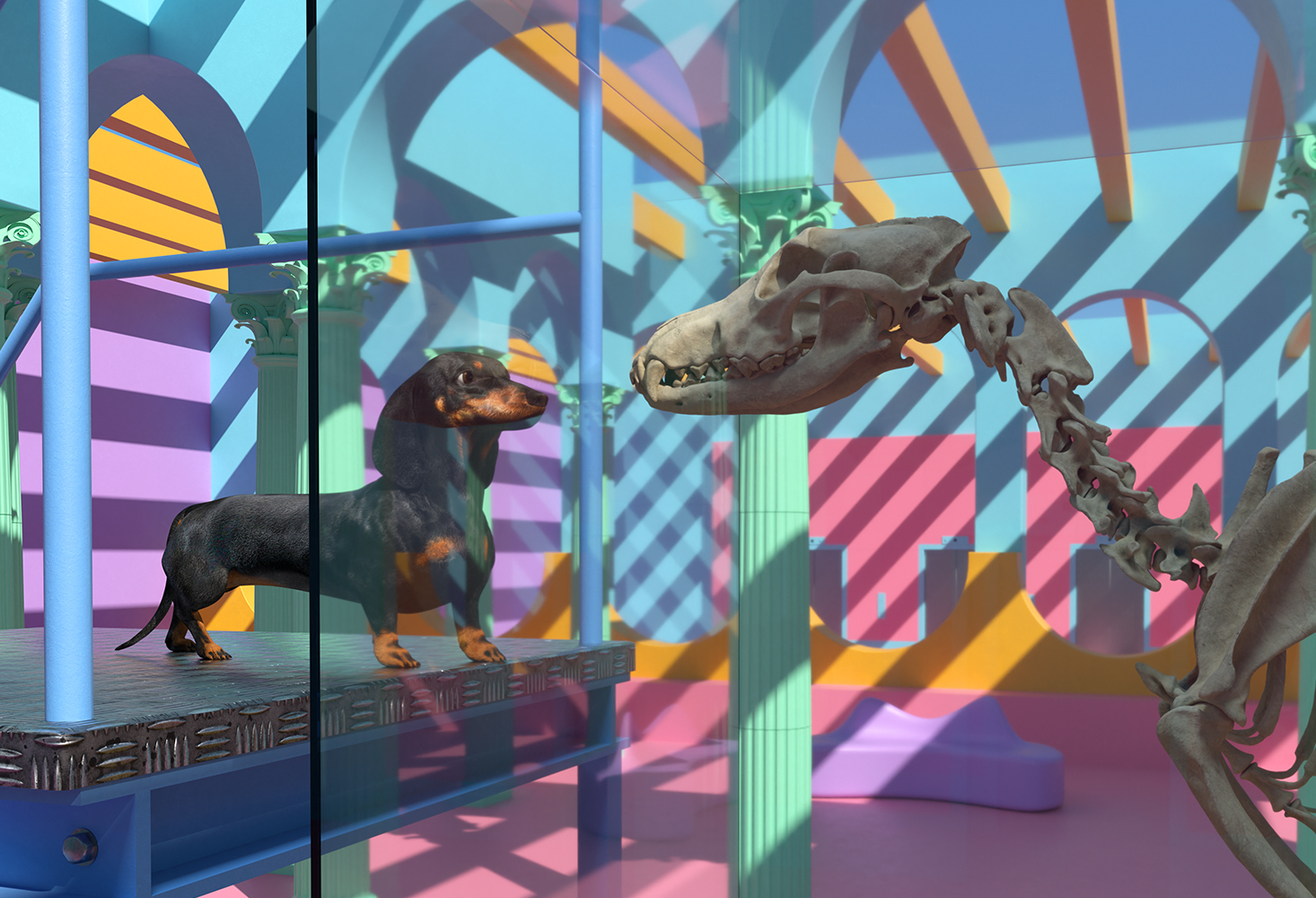 CGI Dog & wolf skeleton